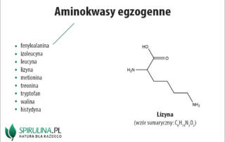 Aminokwasy egzogenne