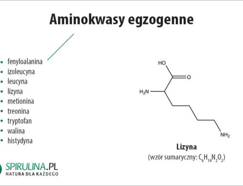 Aminokwasy egzogenne