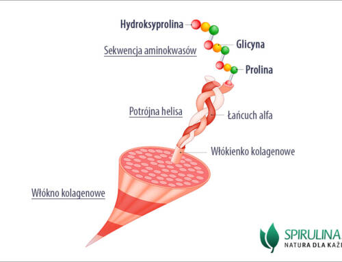 Białka kolagenowe