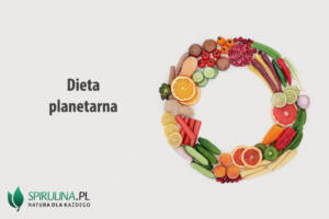 Dieta planetarna Dieta planetarna