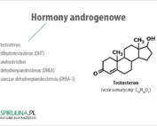 Hormony androgenowe
