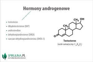 Hormony androgenowe