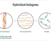Hydrolizat kolagenu