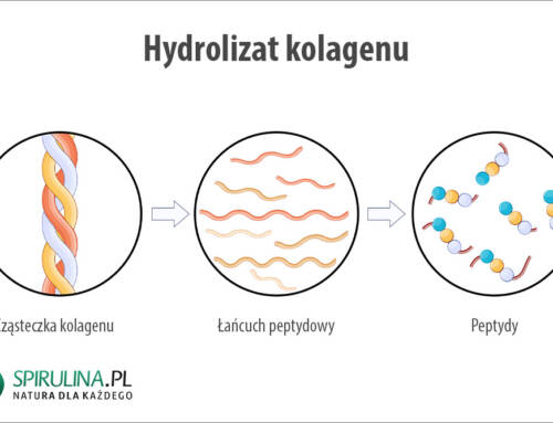Hydrolizat kolagenu