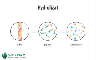 Hydrolizat