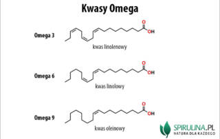 Kwasy Omega