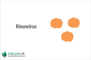 Rinowirus