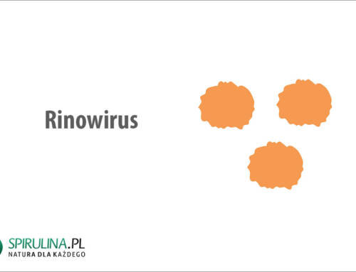 Rinowirus