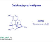 Substancje psychoaktywne