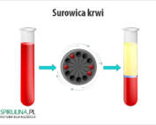 Surowica krwi