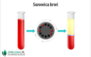 Surowica krwi