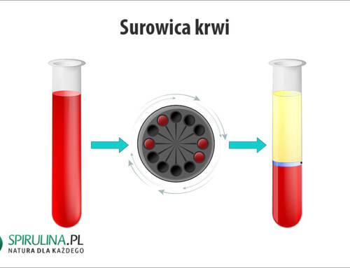 Surowica krwi