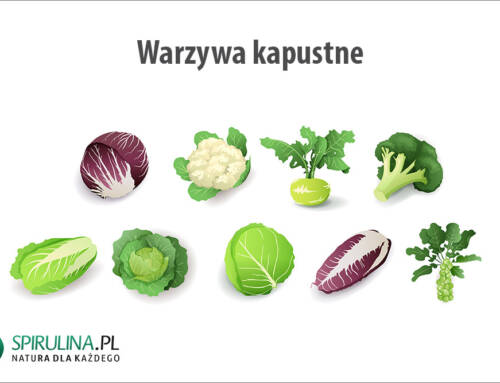 Warzywa kapustne