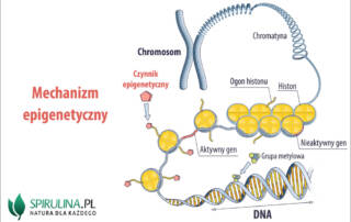Choroby epigenetyczne