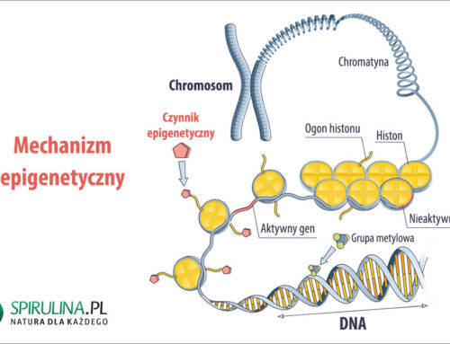 Choroby epigenetyczne