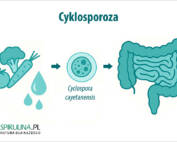 Cyklosporoza