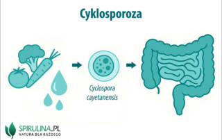 Cyklosporoza