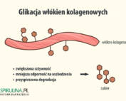 Glikacja włókien kolagenowych