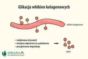 Glikacja włókien kolagenowych
