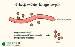 Glikacja włókien kolagenowych