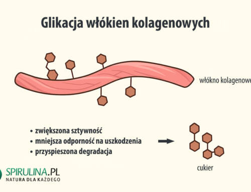 Glikacja włókien kolagenowych