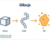 Glikacja