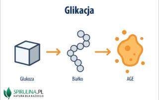 Glikacja