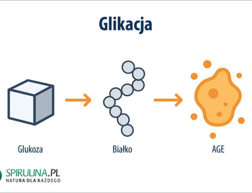 Glikacja
