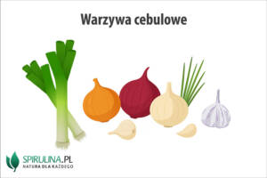 Warzywa cebulowe