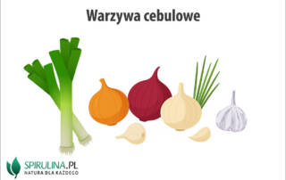 Warzywa cebulowe