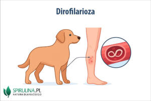 Dirofilarioza
