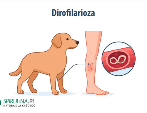 Dirofilarioza