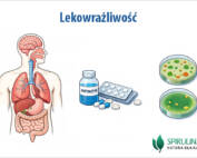 Lekowrażliwość