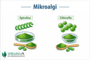 Mikroalgi