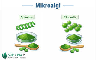 Mikroalgi