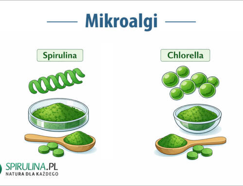 Mikroalgi