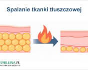 Spalanie tkanki tłuszczowej