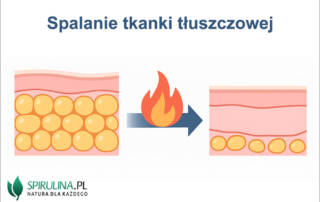 Spalanie tkanki tłuszczowej