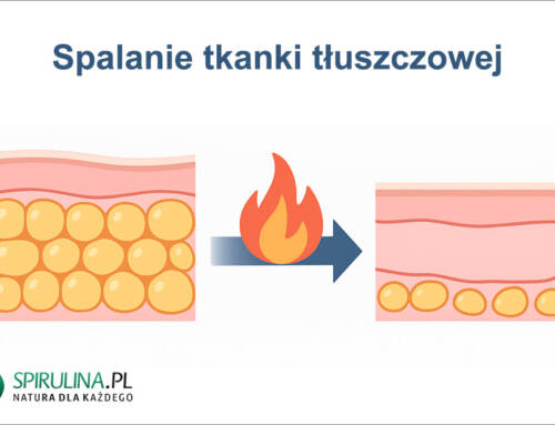 Spalanie tkanki tłuszczowej