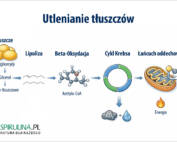 Utlenianie tłuszczów