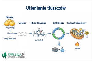 Utlenianie tłuszczów