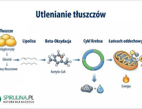 Utlenianie tłuszczów