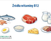 Źródła witaminy B12