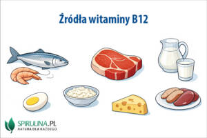 Źródła witaminy B12