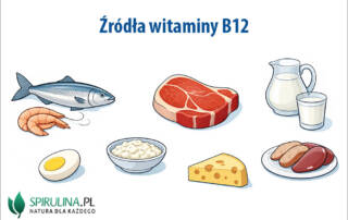 Źródła witaminy B12