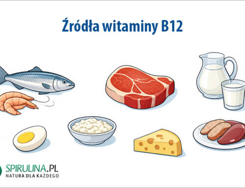 Źródła witaminy B12
