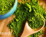 Chlorella w proszku