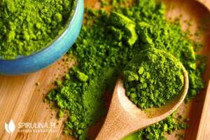 Chlorella w proszku