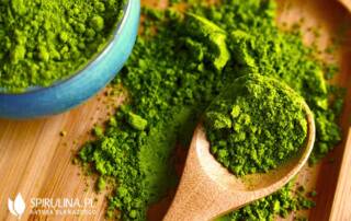 Chlorella w proszku