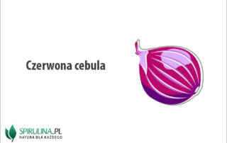 Czerwona cebula